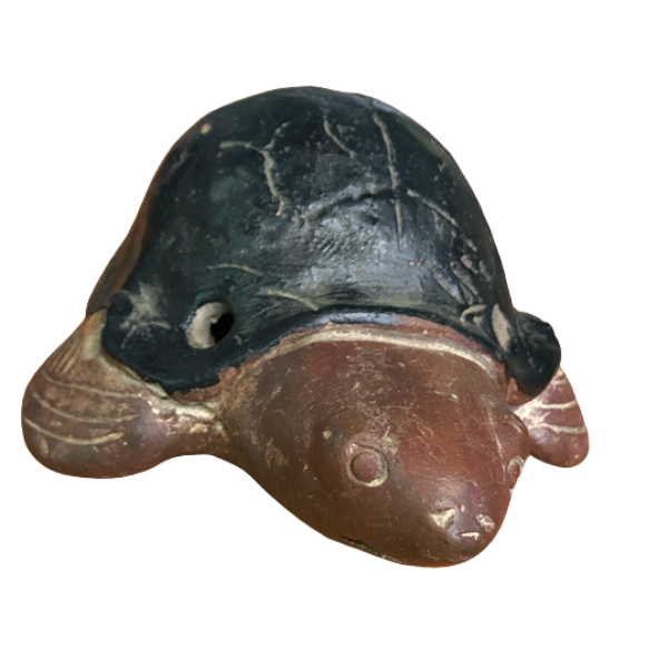 Flauta tortuga